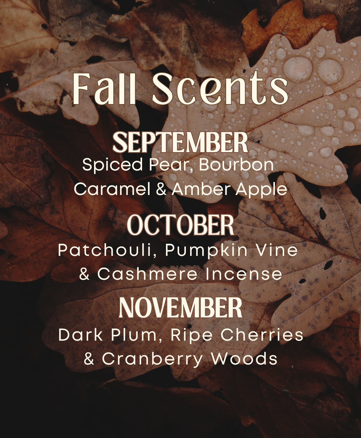 Quarterly Candle Subscription Box